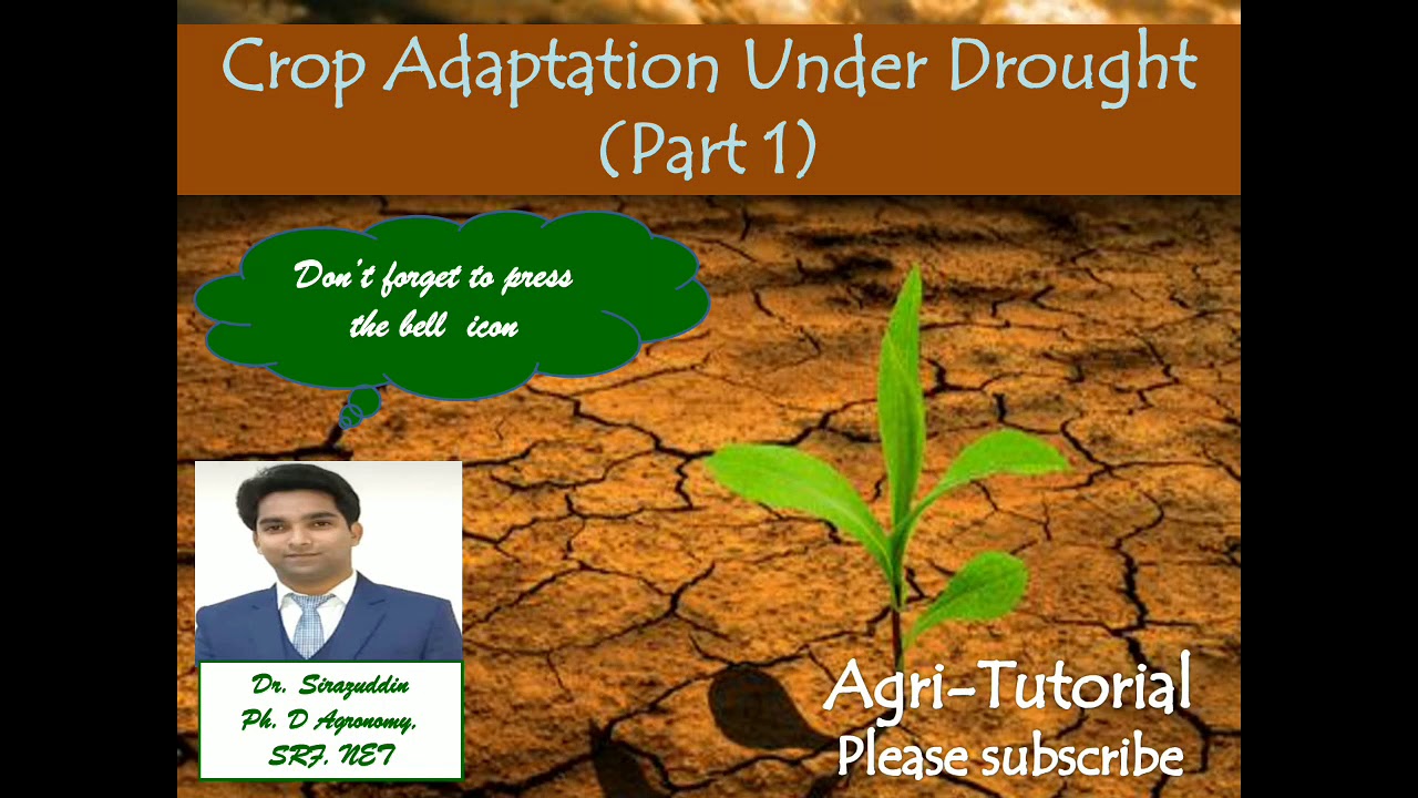 Crop Adaptation under Drought (Part 1)