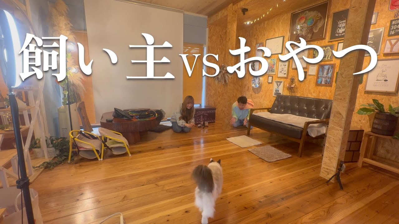 【初コラボ】絶対に負けられない戦いがここにある【ベルとスノーとジンK2】