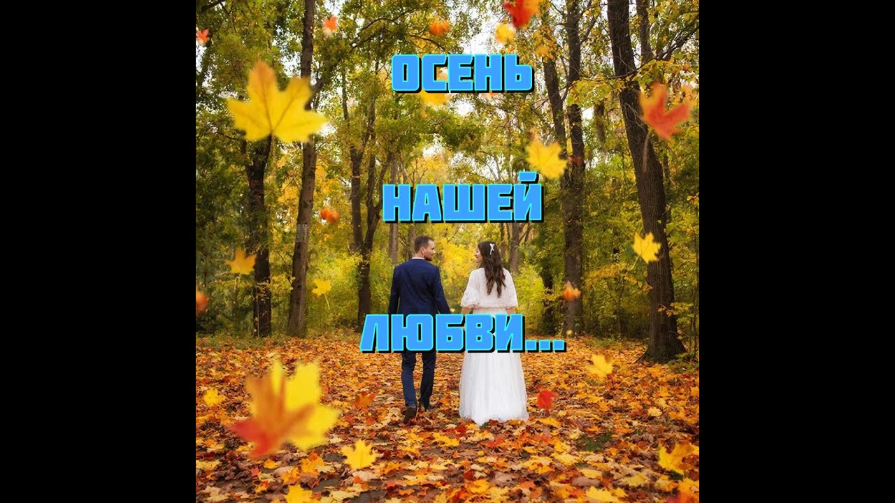ОСЕНЬ НАШЕЙ ЛЮБВИ - для любви ВСЕГДА есть время#songsfromshamskovy #яркиечувства#песниотшамсковых