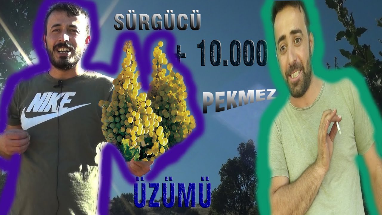 hem iş hemde komedi MEVAN 3 (mardin savur sürgücü'de cevizli sucuk ve pekmez) atalarımızdan kalan iş