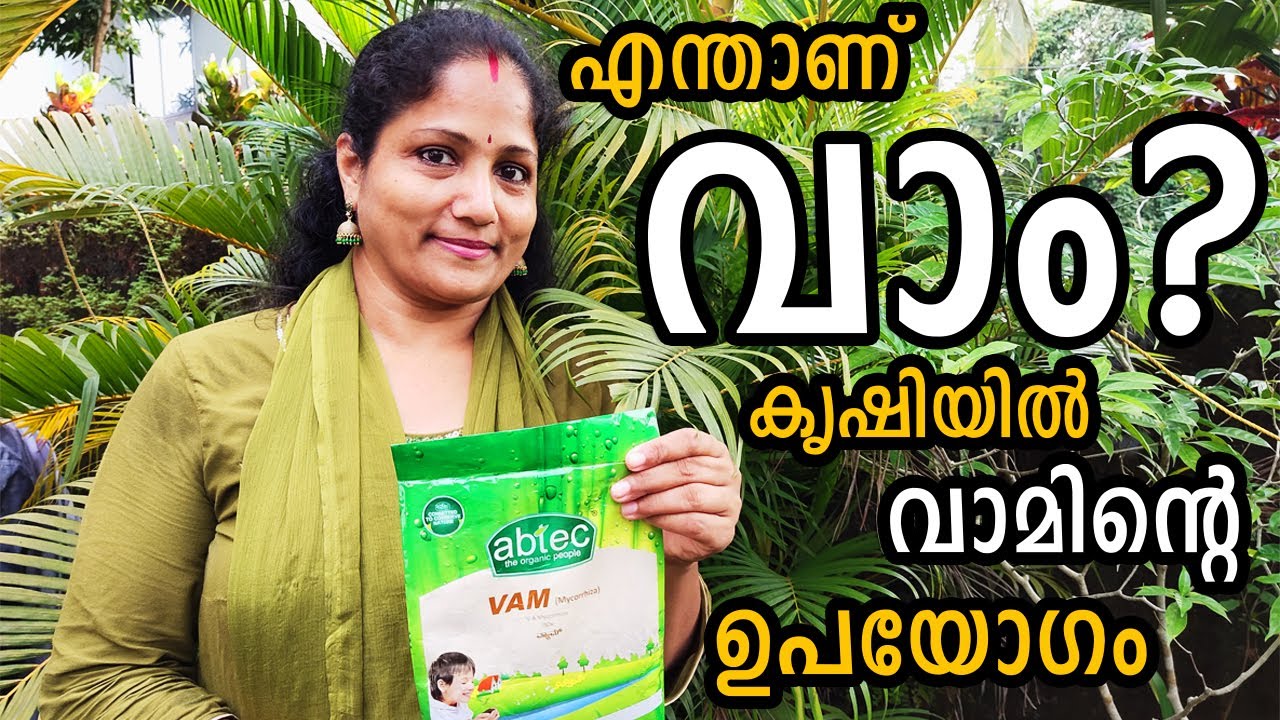 എന്താണ് വാം? കൃഷിയിൽ വാമിന്റെ ഉപയോഗം | How to Use VAM Biofertilizer in malayalam
