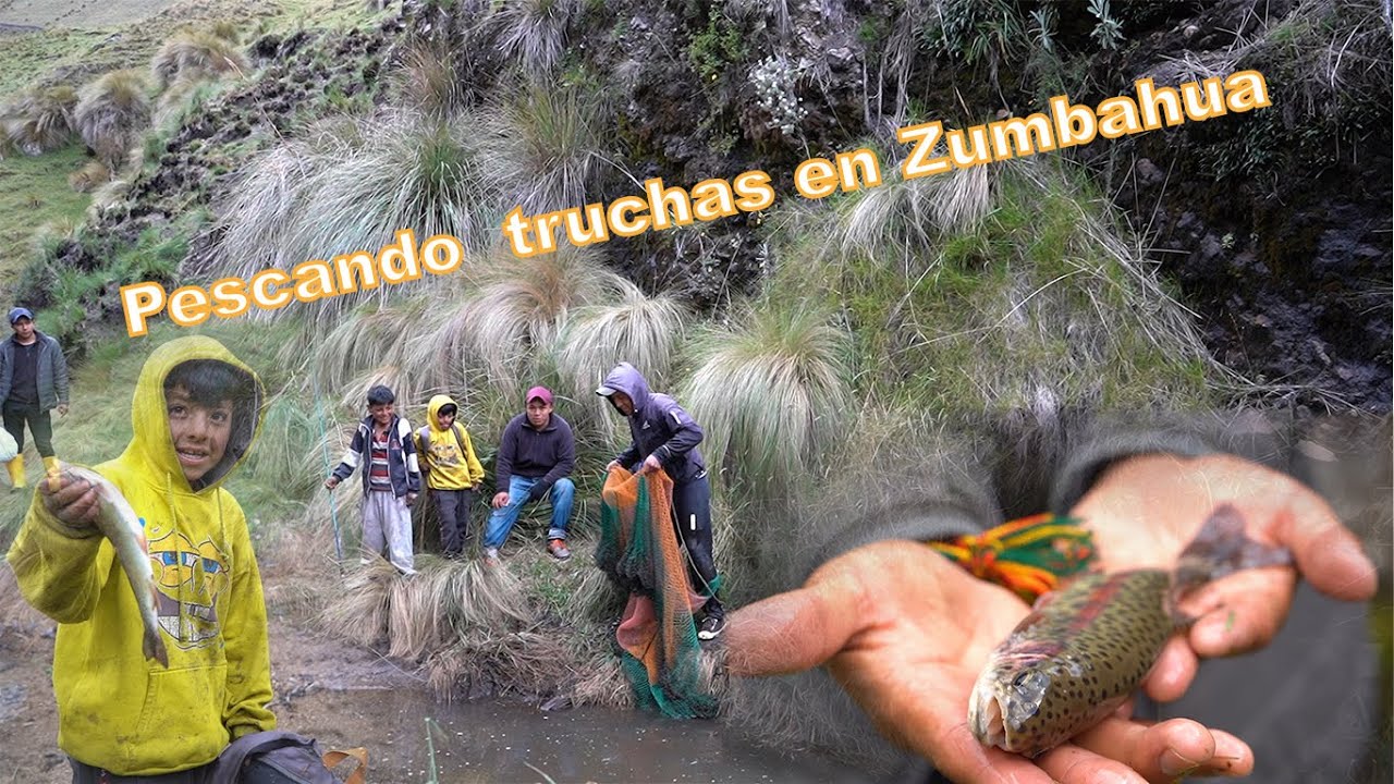 Pescando truchas  en el rio mas grande de  ZUMBAHUA