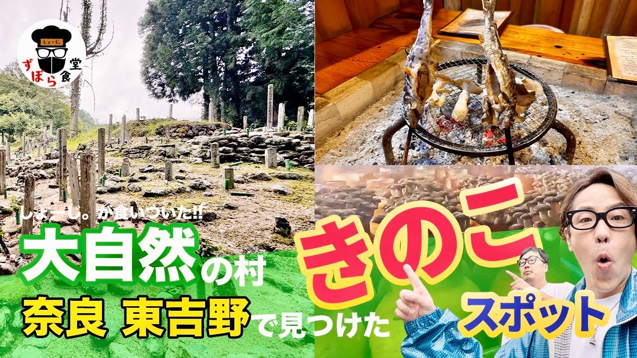 奈良の山奥で見つけた超神秘的な墓地「天誅組終焉の地」そして予約必須のお店「きのこの館」で自家栽培きのこを堪能！！