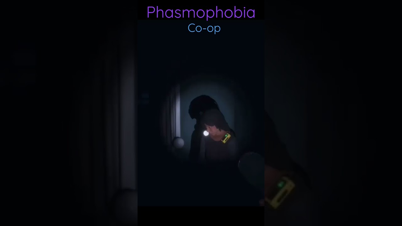 Phasmophobia - The True Ghostbusters