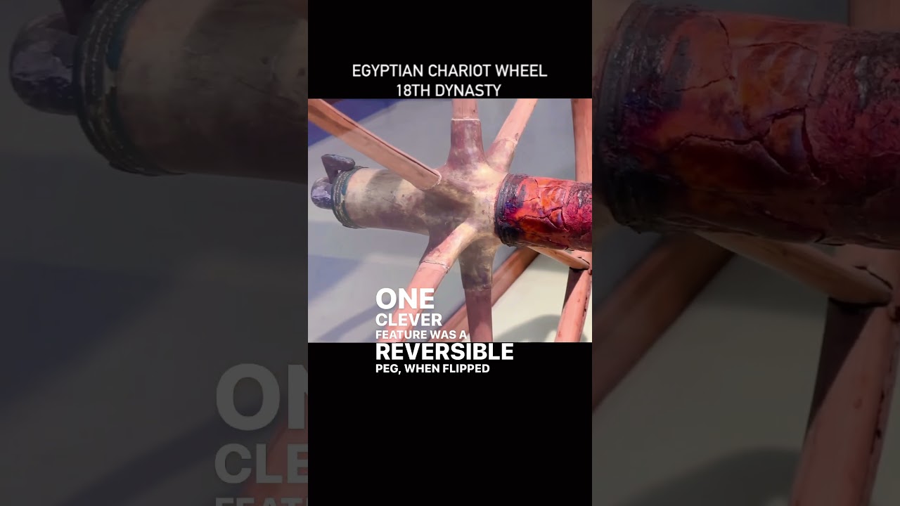 18th Dynasty Egyptian Chariot wheel from the time of the Exodus #egypt #exodus #egyptian #chariot