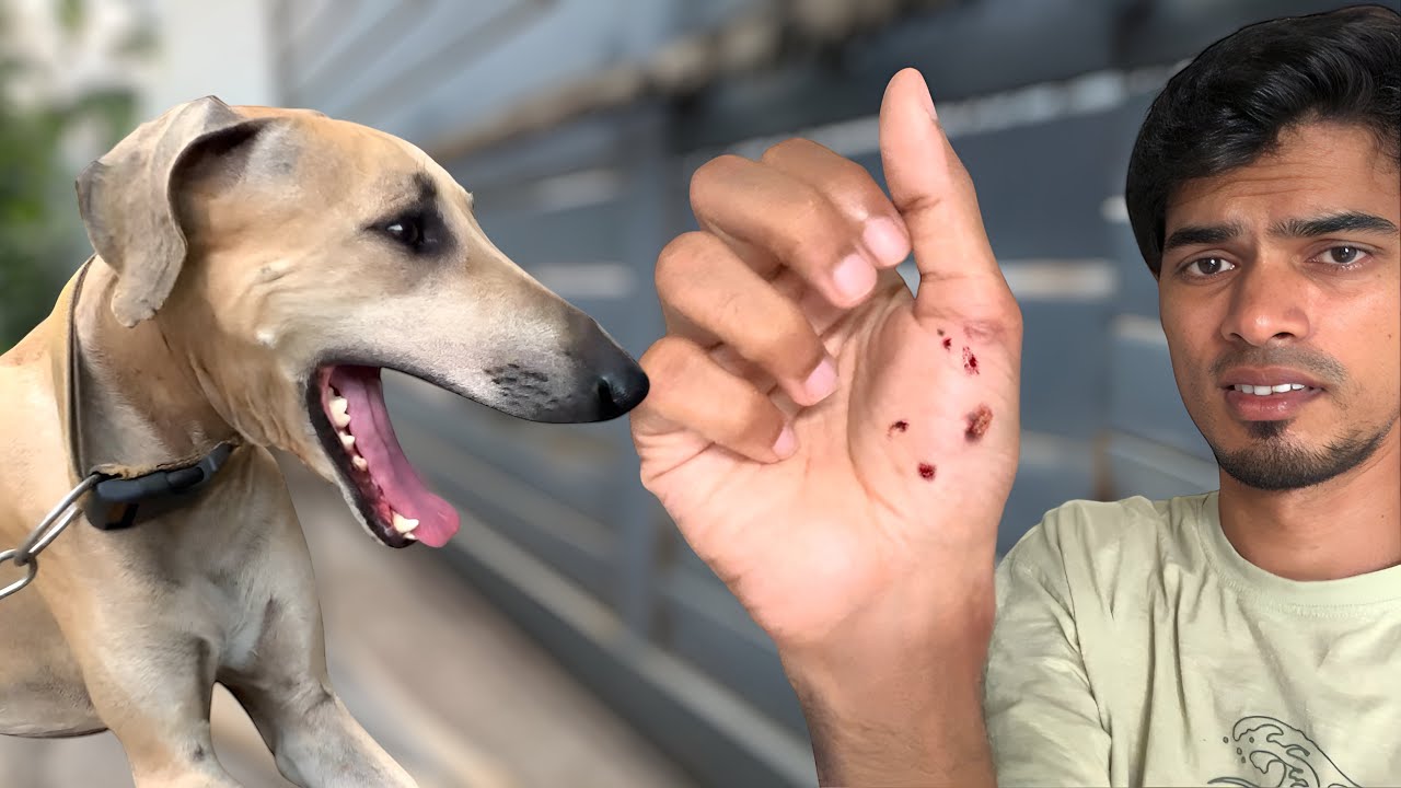 MAARAN attacked ME..🤯😱 *DANGER* செம்ம கடி😟