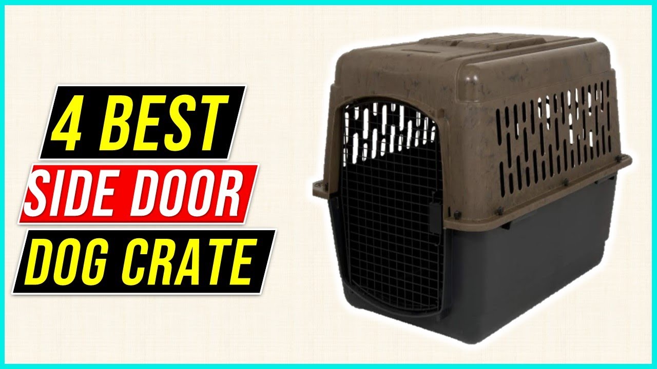 ✅Top 4 Best Side Door Plastic Dog Crate of 2023, Tested and Reviewed