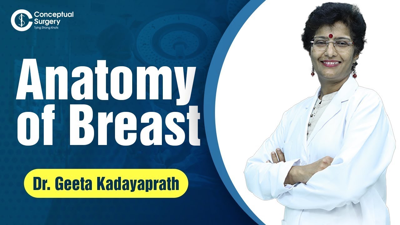 Anatomy of Breast by Dr  Geeta Kadayaprath