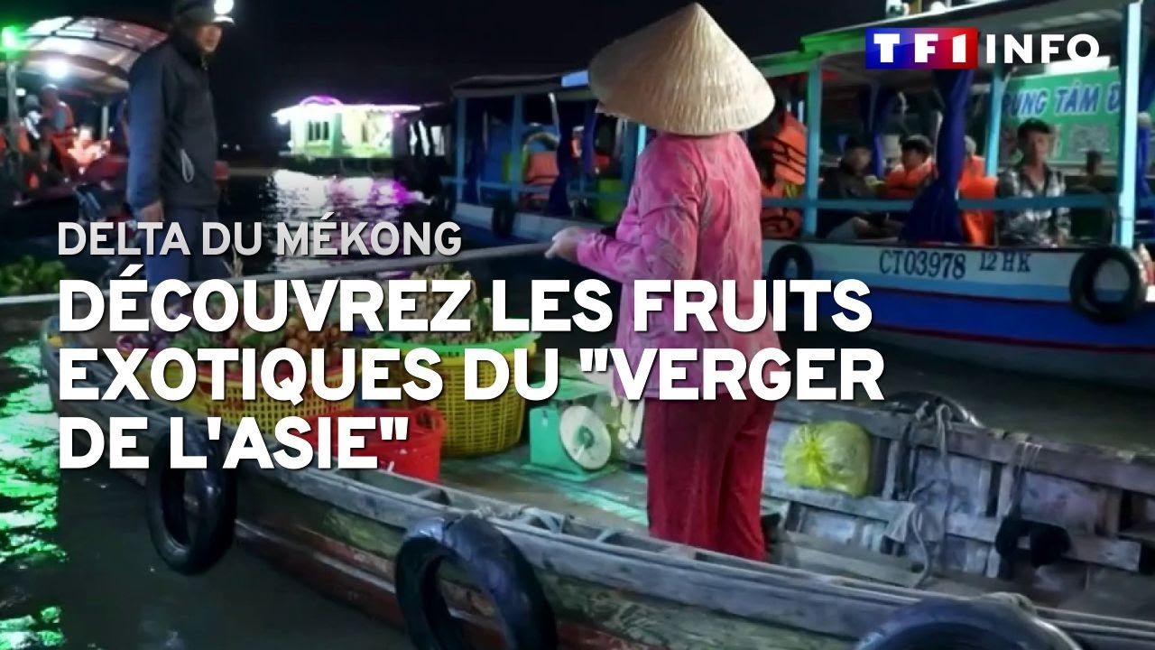 Delta du Mékong : le verger de nos fruits exotiques
