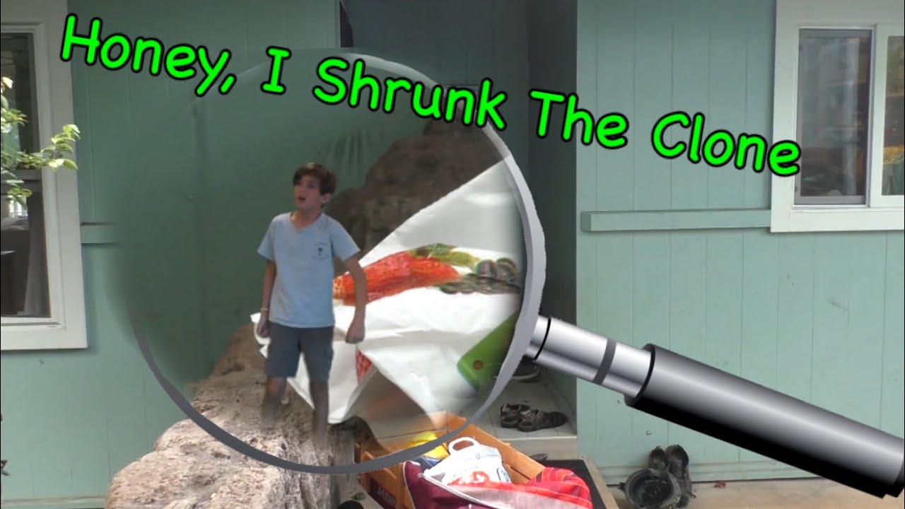 Honey I Shrunk the Clone