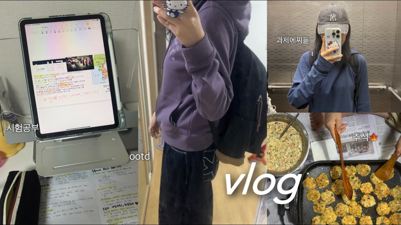 대학생 브이로그 🏠 ⭑ 곰팡이로 도배된 자취방.. 💢 ⭑ 너무 짧은 추석 🍁  ⭑ 가을옷 하울  ⭑ 미대생 일상  ⭑ 한국사 공부📚