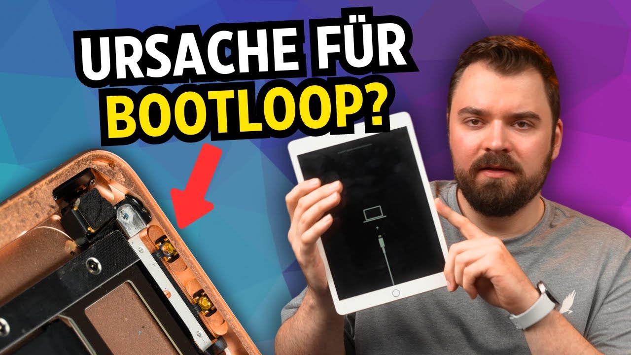 Apple Logo in Dauerschleife - iPad 7. Generation Bootloop