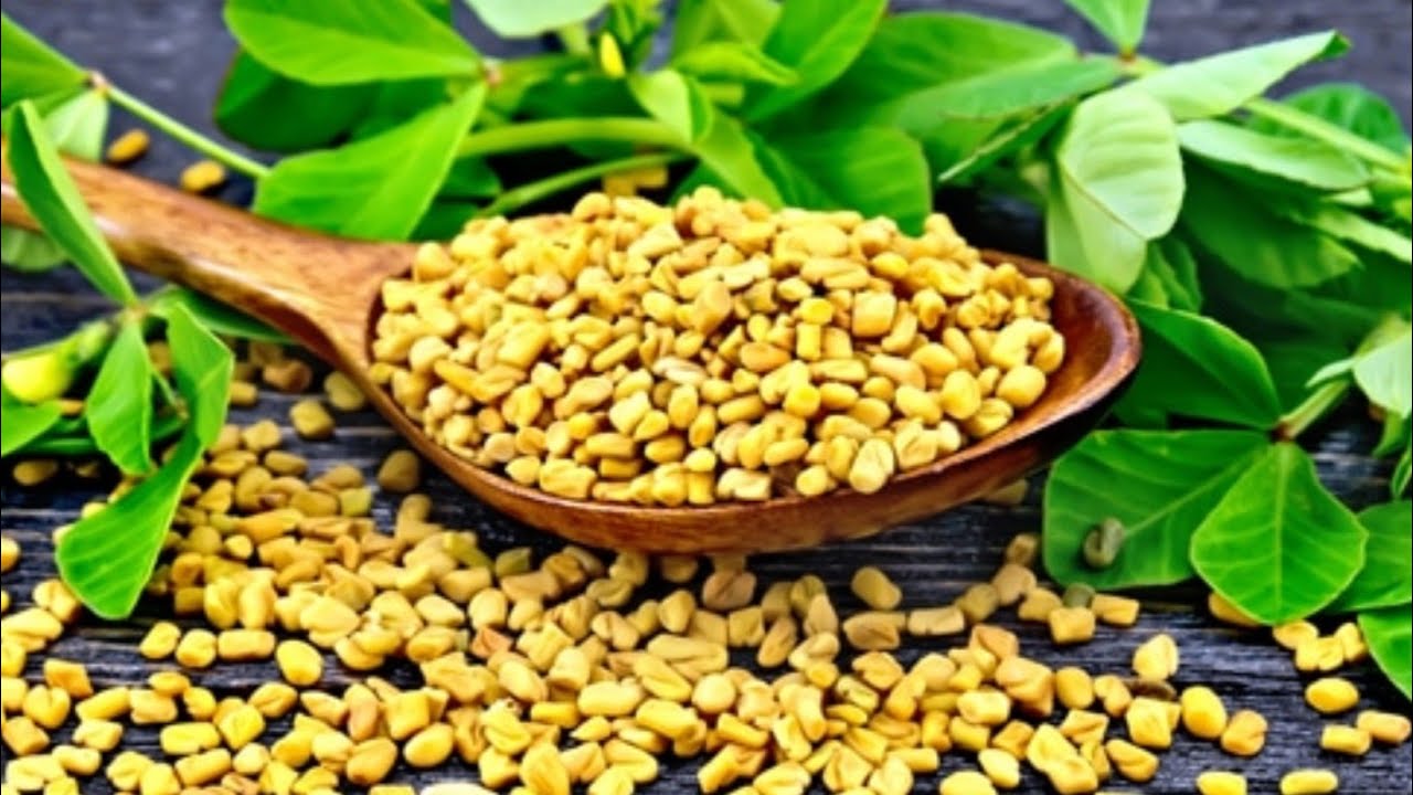 How to make Moroccan Harira whit  la Holba  o Fenogreco.