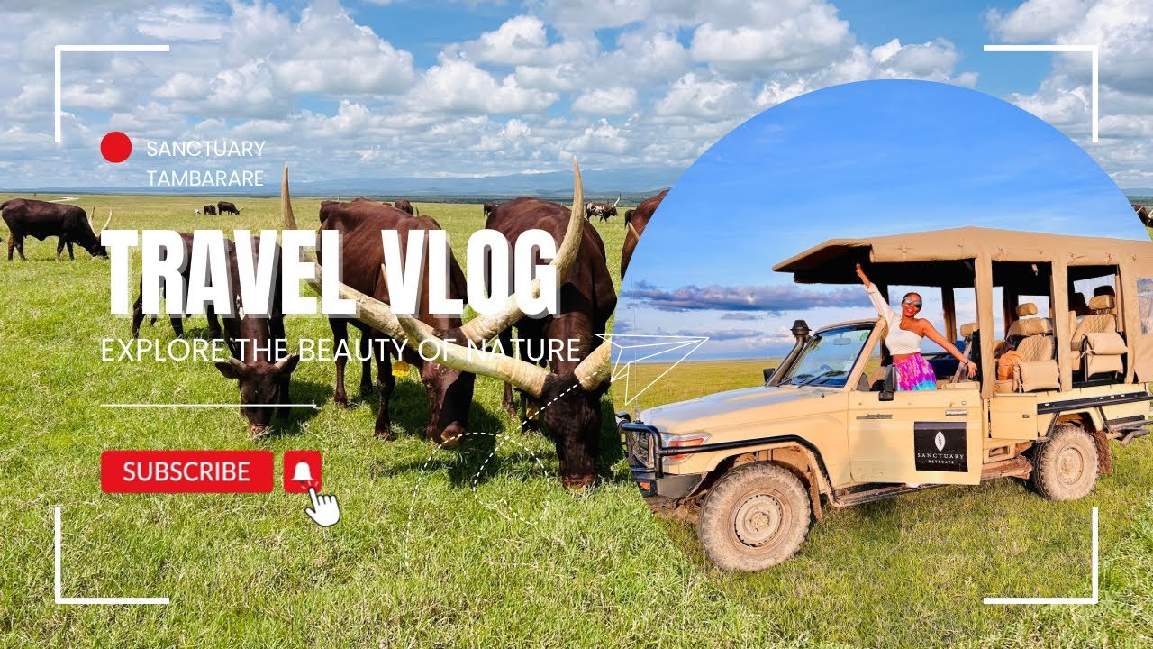 Exploring Ol Pejeta  Conservancy | Chimpanzee Sanctuary | Sanctuary Tambarare Room Tour