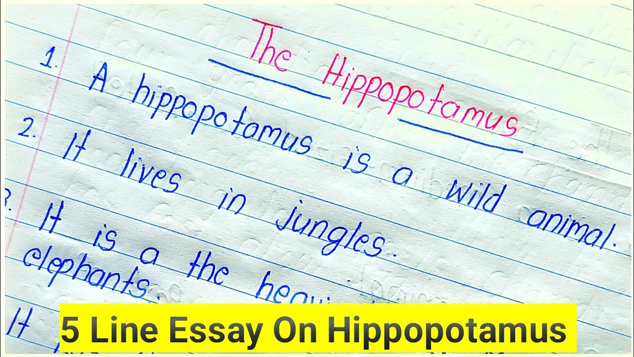 5 Lines On Hippopotamus in English/Essay On Hippopotamus in English/Hippopotamus 5 Lines in Essay