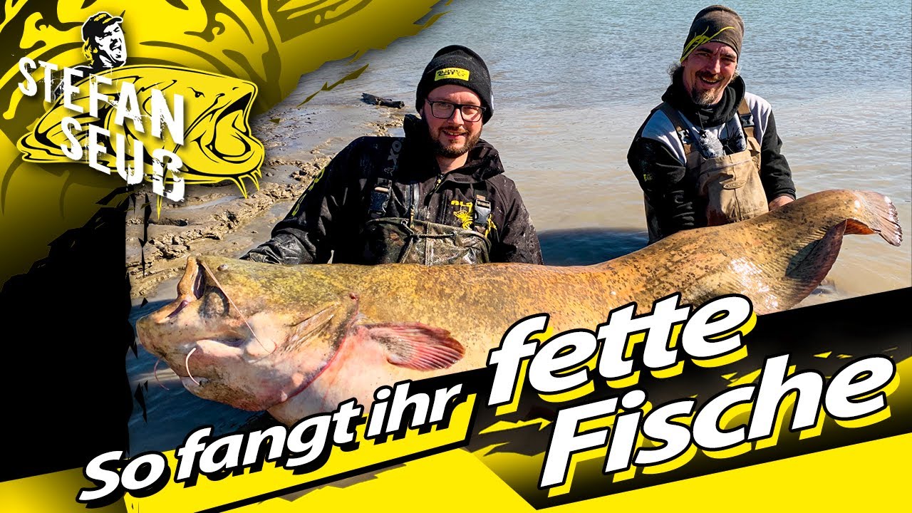 ANGELN auf WELS am FLUSS!! | NATURUFER oder STEINPACKUNG?? | Welsangeln mit Stefan Seu&szlig;