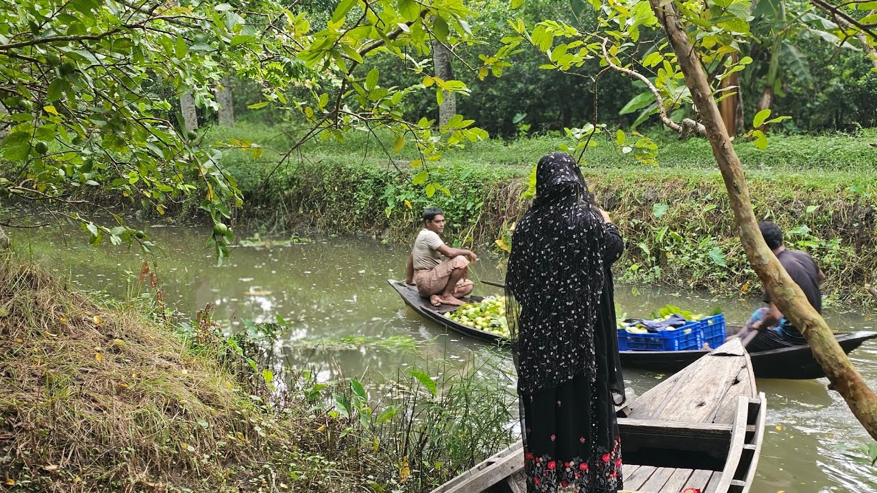 বরিশালের বিখ্যাত পেয়ারা বাগান
