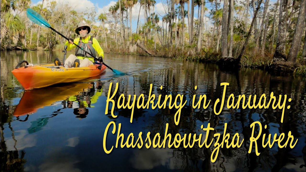 Kayaking in January: Chassahowitzka River