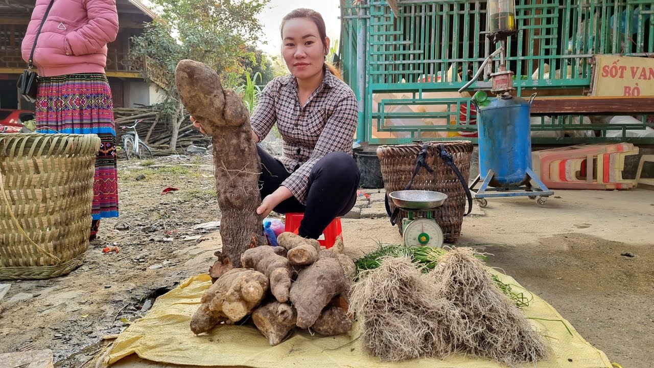 FULL VIDEO: 25 Days Harvest (Bamboo shoots, Cores wild plants, Tubers, Vegetables) Market to sell