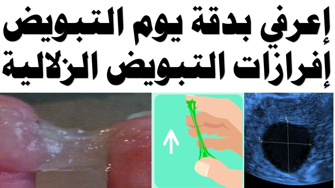 معرفة فترة الاباضة بدقة من خلال الافرازات المهبلية اعرفي بدقة يوم نزول البويضة من خلال شكل الافرازات