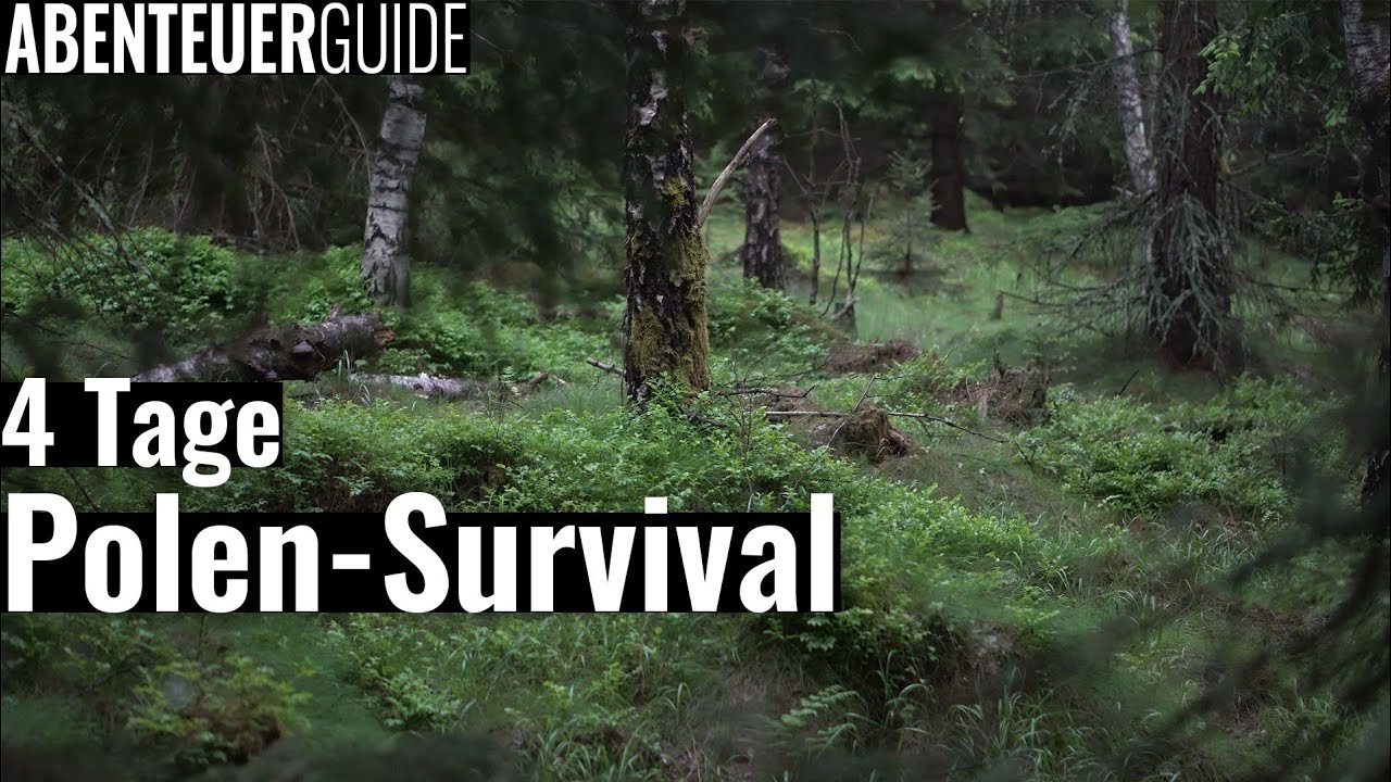 4-Tage Survival in Polens Wäldern