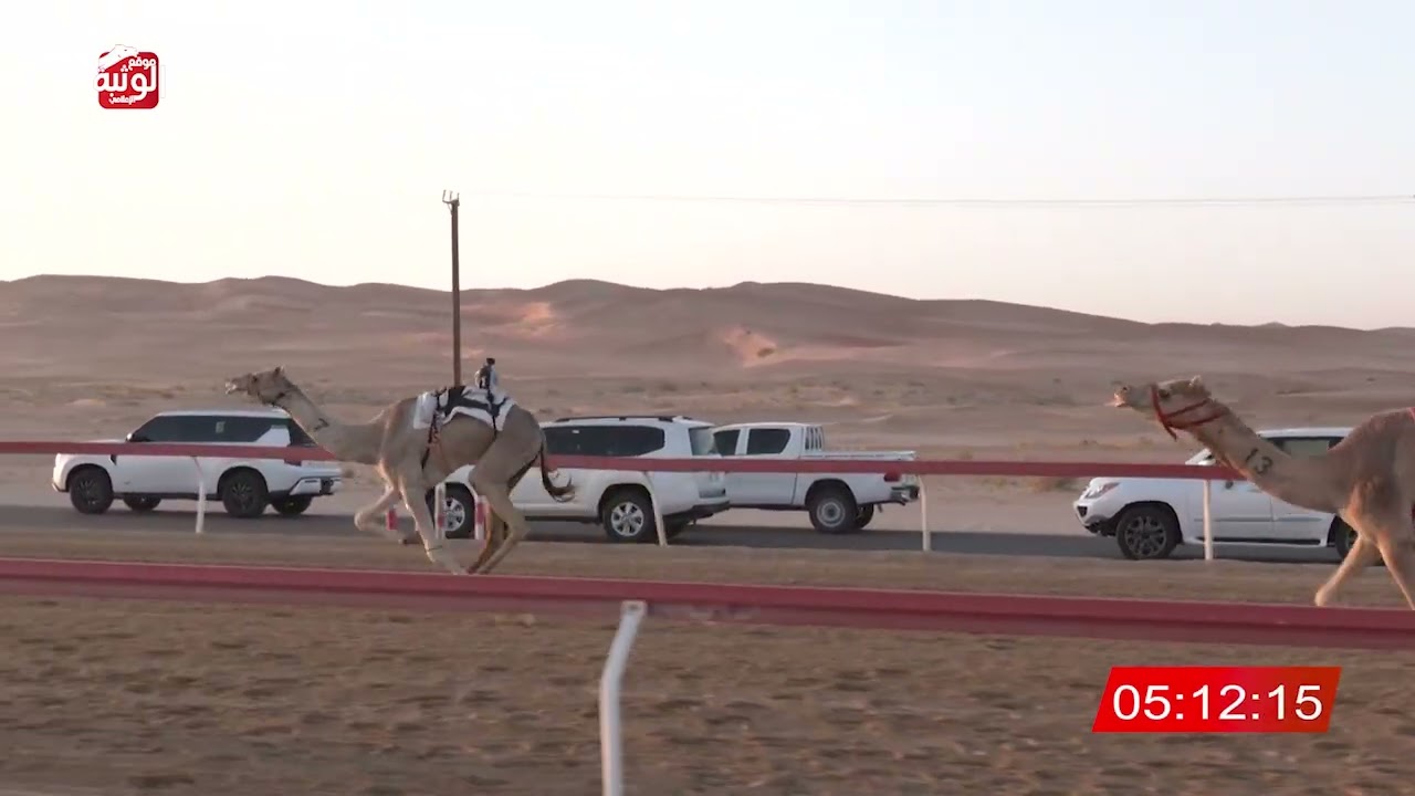 ش 2 (رنه) لـ مبارك محمد بن مبارك الخييلي 9:14 ، شارة الديوان 2026/2/15 إيذاع الساد