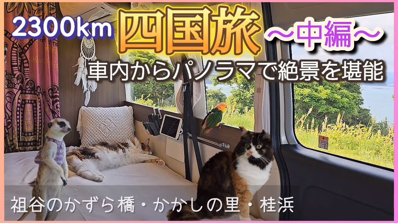 【キャンピングカー】四国旅～中編～　徳島・高知　［レクビィ プラスDD］