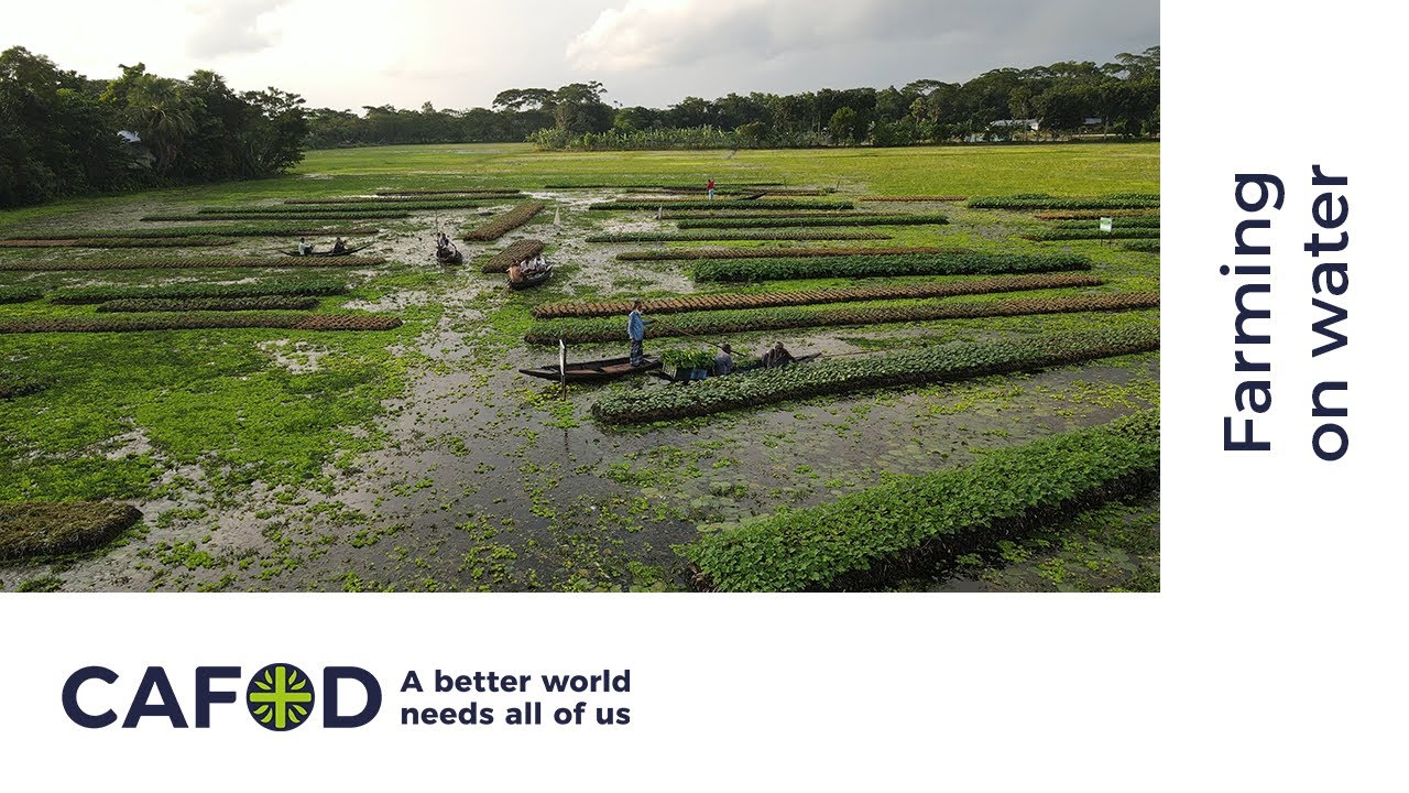 CAFOD Lent Appeal 2026: Floating gardens transforming lives | CAFOD