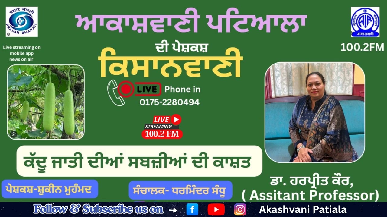 ਗਰਮੀਆਂ ਵਿੱਚ ਕੱਦੂ ਜਾਤੀ ਦੀਆਂ ਸਬਜ਼ੀਆਂ ਤੋਂ ਕਮਾਓ ਲੱਖਾਂ | ਇਹ 3 ਗਲਤੀਆਂ ਨਾਲ ਹੋ ਸਕਦਾ ਹੈ ਵੱਡਾ ਨੁਕਸਾਨ Akashvani