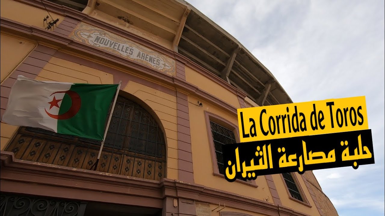 #3 La Corrida de Toros in ORAN, Algeria 🇩🇿 جولة كاملة في ساحة مصارعة الثيران بوهران