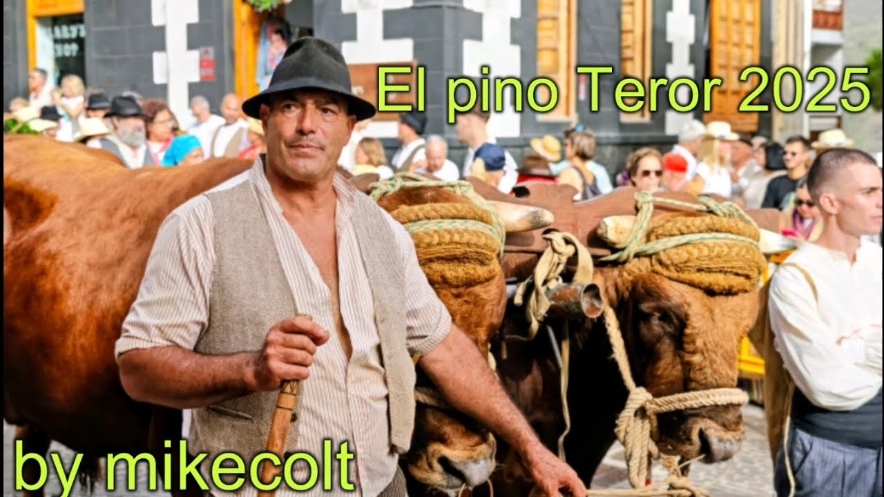 fiesta:virgen el pino 2025