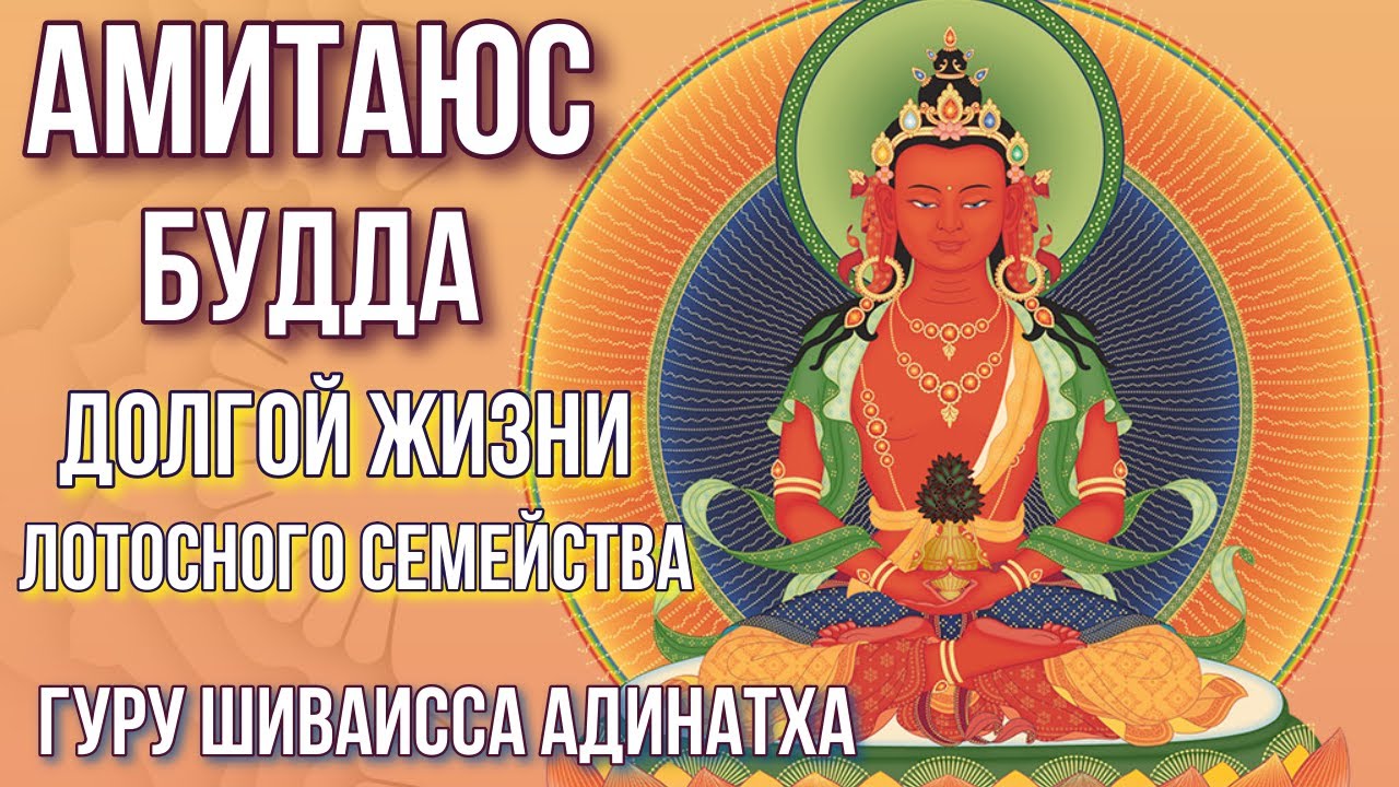 Амитаюс Будда долгой жизни лотосного семейства эликсира медитации. Гуру Шиваисса Адинатха