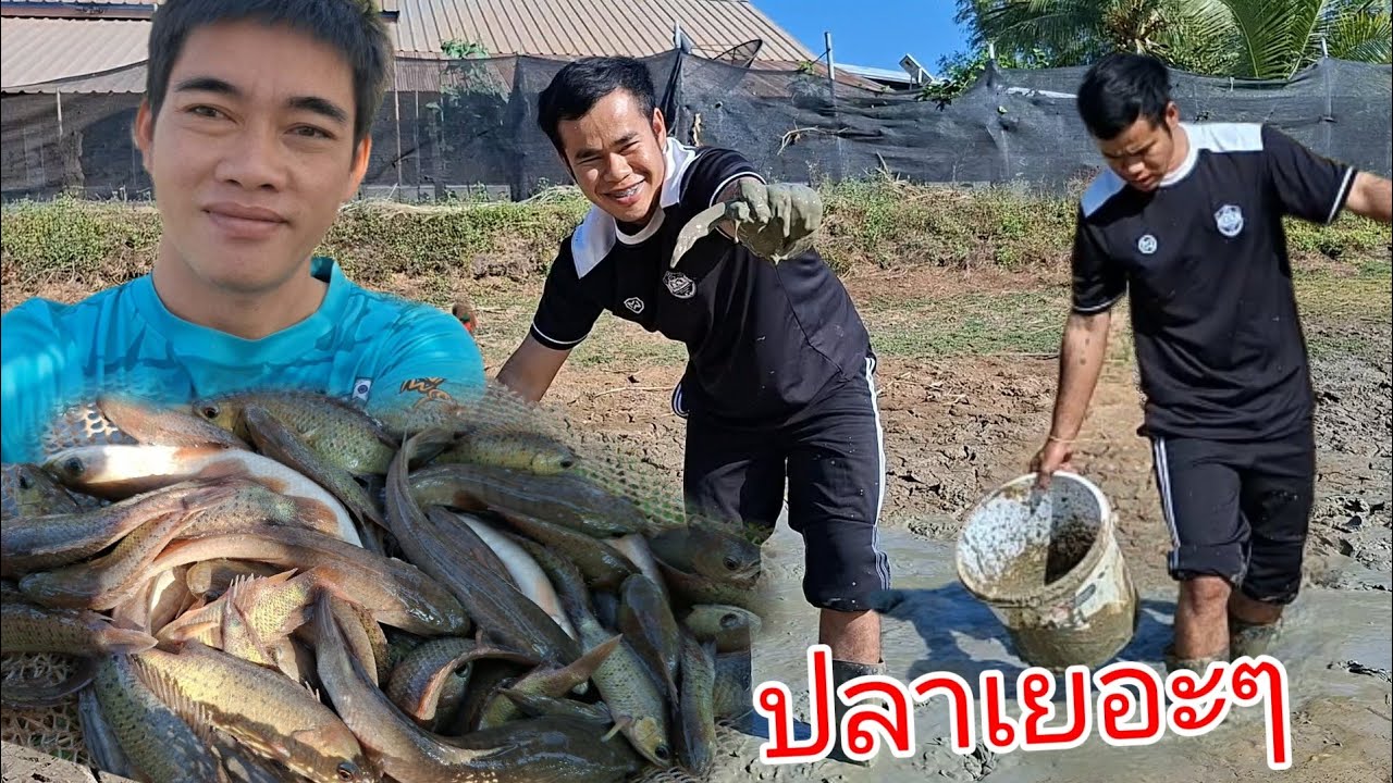 ไม่คิดว่าปลา ในหนองบ่าวเอื้อจะยังเยอะ