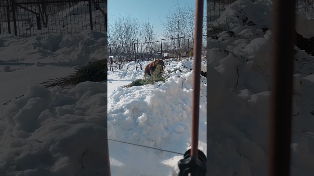 Маша вышла погулять. Весна!