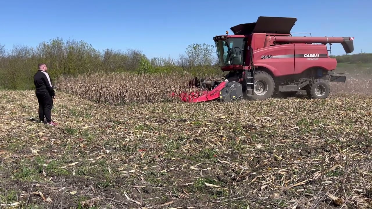 Косим кукурудзу в травні 🌽комбайном Case 5088🚜 коли вже потрібно сіятись🥵