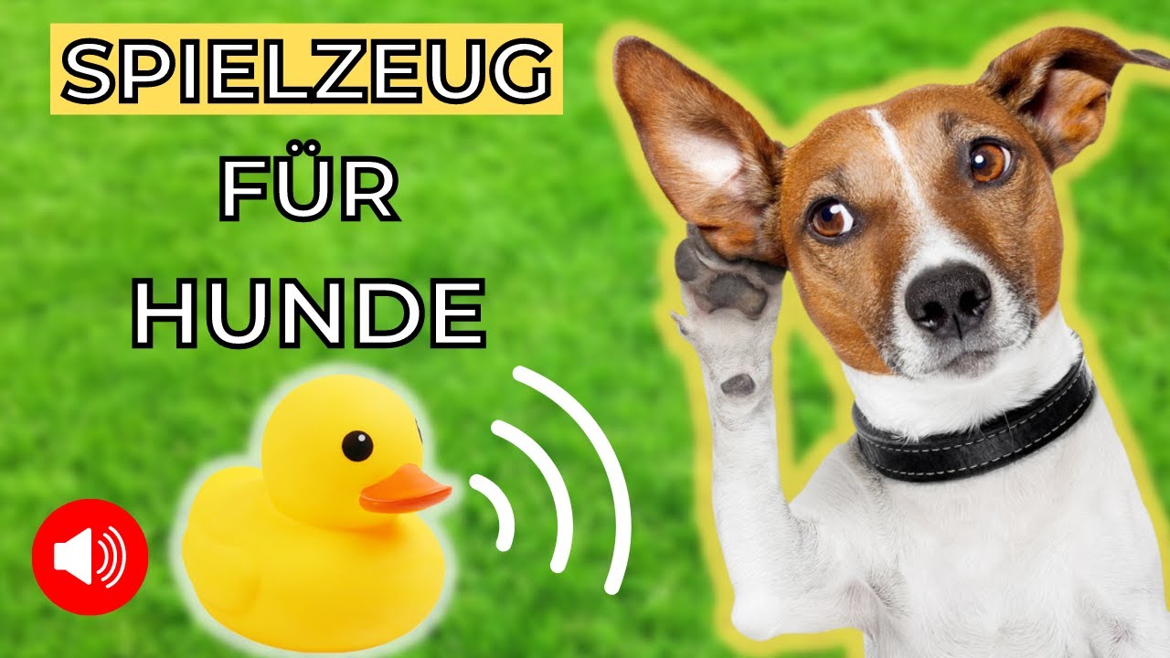Spielzeug f&uuml;r Hunde 🐶 besch&auml;ftigung f&uuml;r hunde