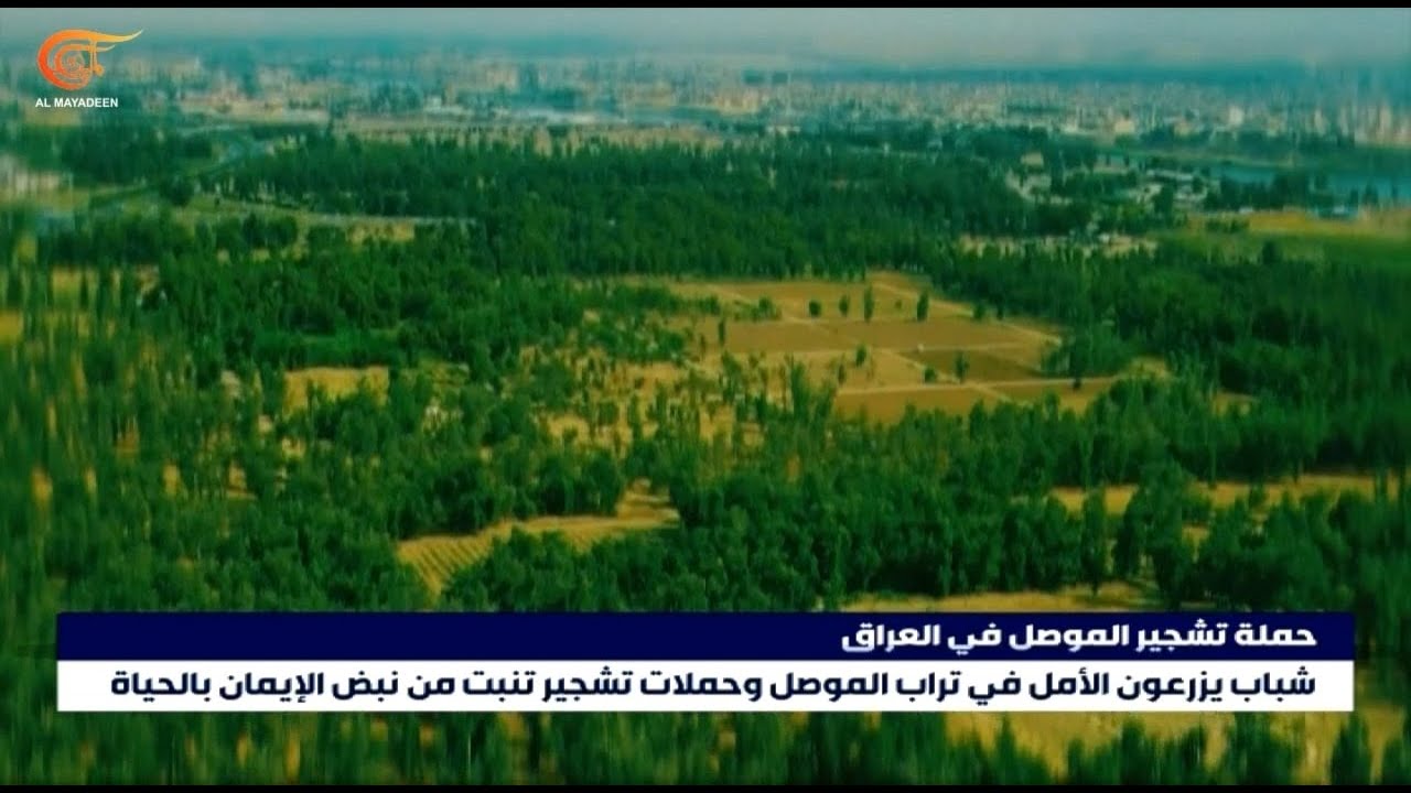 من قلب الجراح... الموصل تزهر من جديد