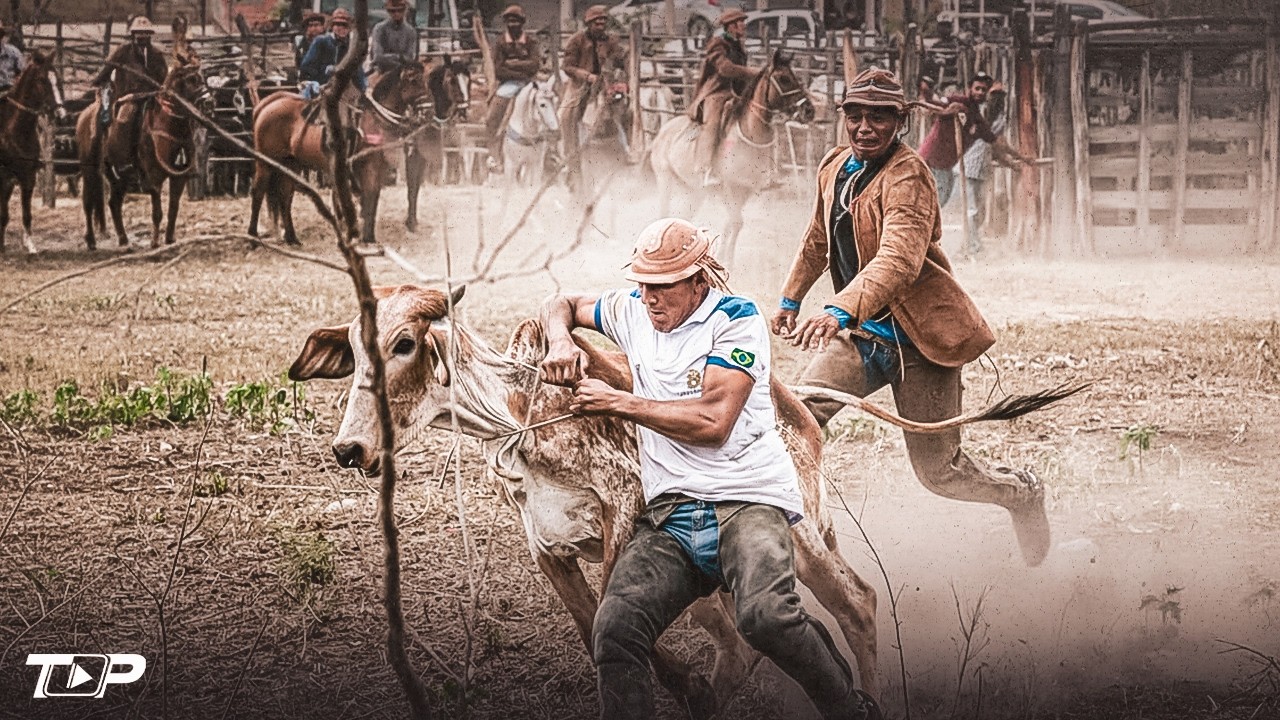 MÚSICA DE VAQUEJADA 2026 - Tarcísio, Rey Vaqueiro, Brasas do Forró, Zé Vaqueiro, Edvan Batista
