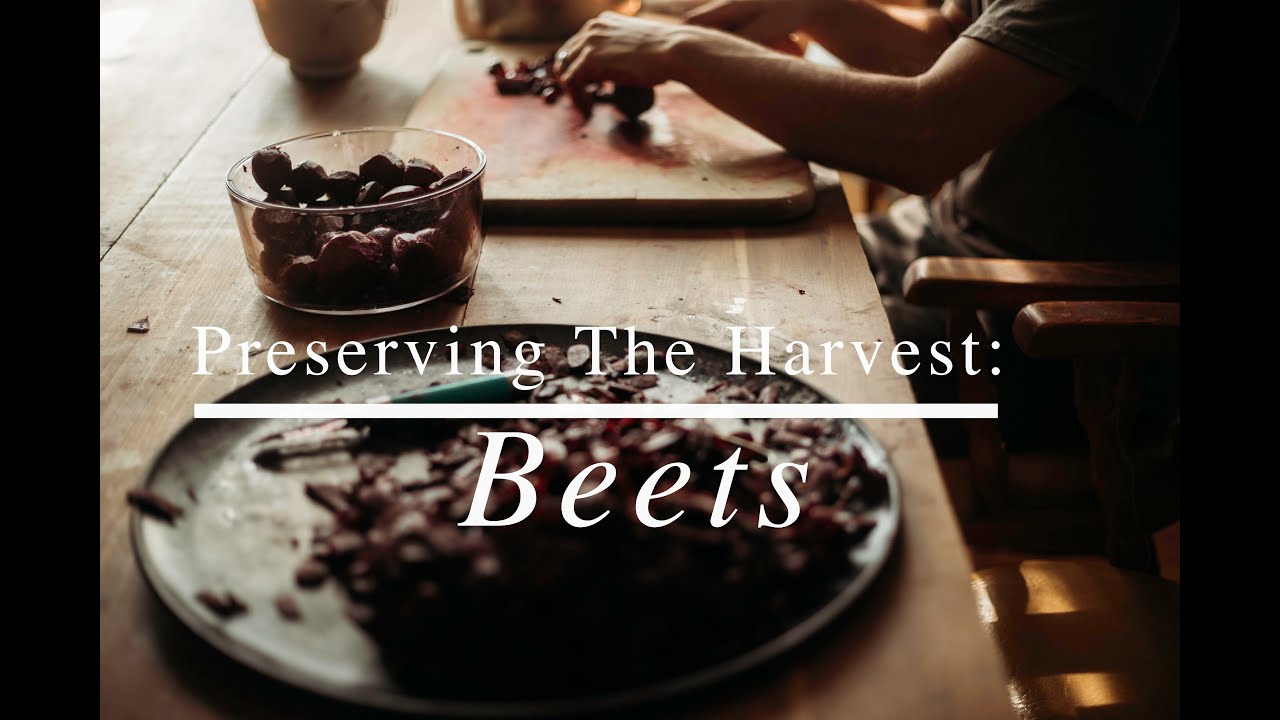 Preserving The Harvest | Beets
