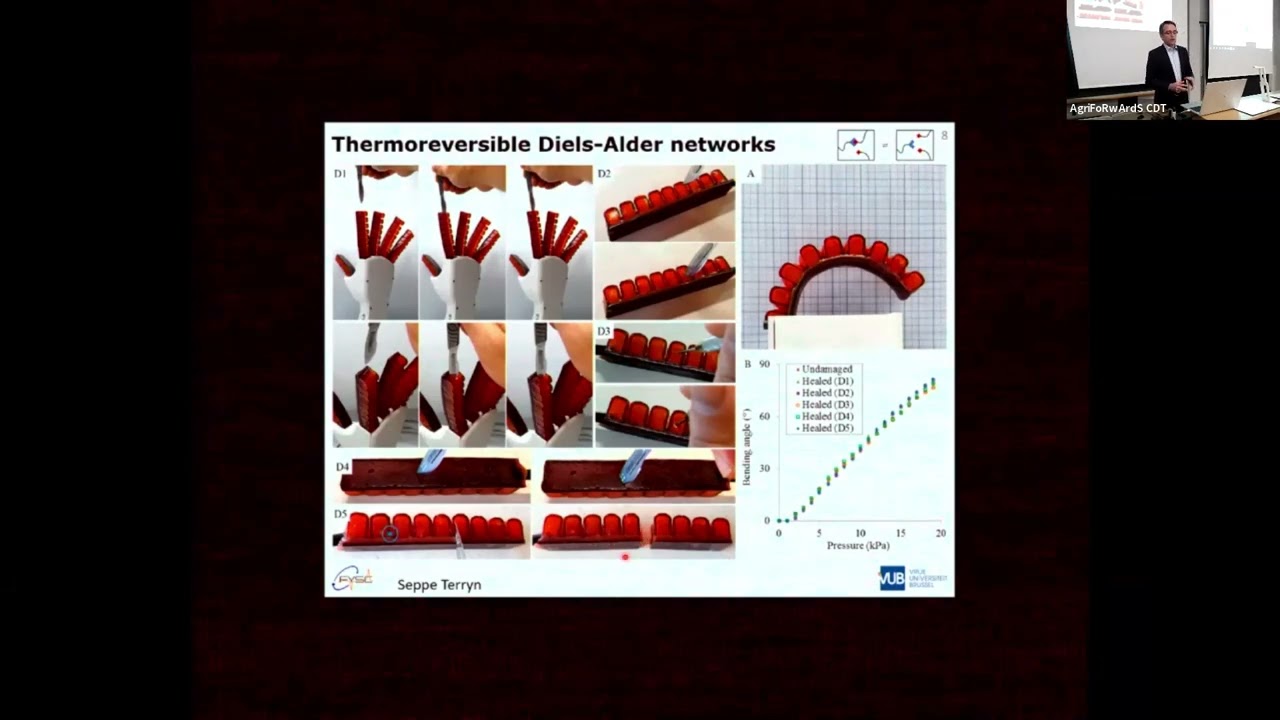 Characterization of the Self-healing of Reversible Networks  by Guy Van Assche
