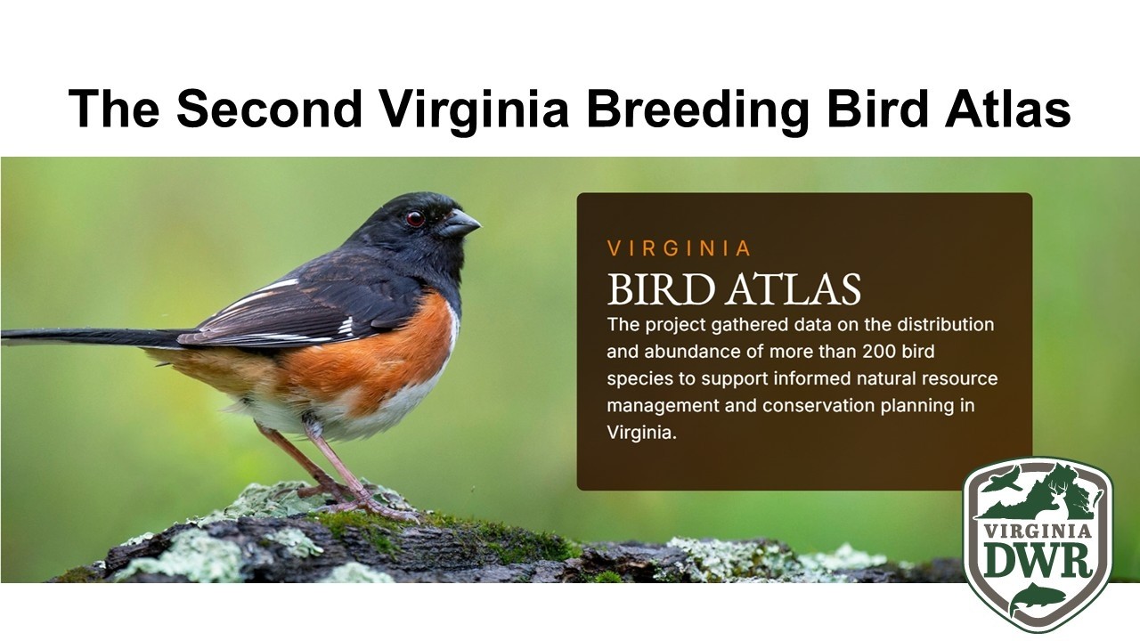 The Second Virginia Breeding Bird Atlas, Speaker: Sergio Harding