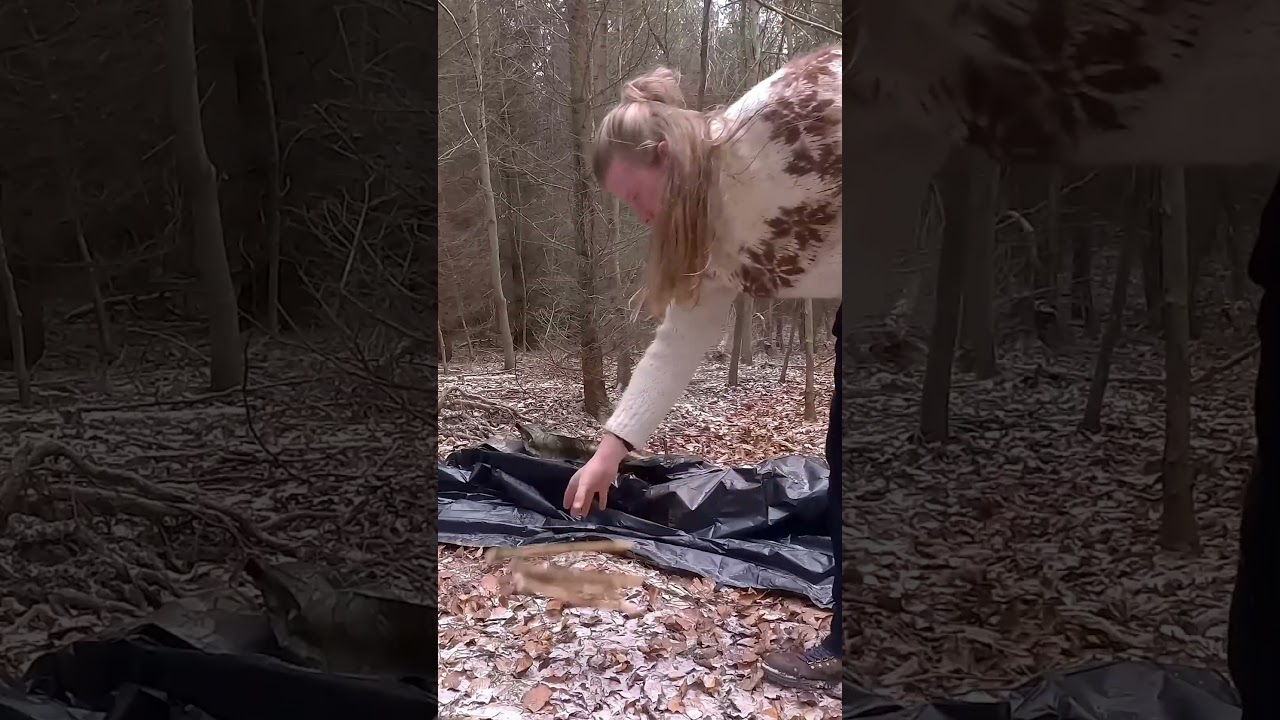 Lagerbau im Wald