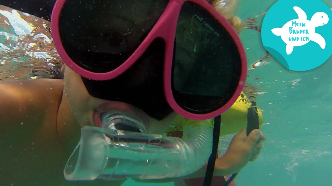 Mit Schildkröten schwimmen | Mein Bruder und ich in der Karibik