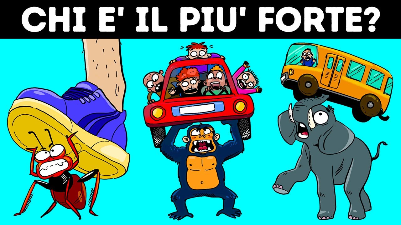 Quali Animali Sono I Migliori Nel Sollevamento Pesi