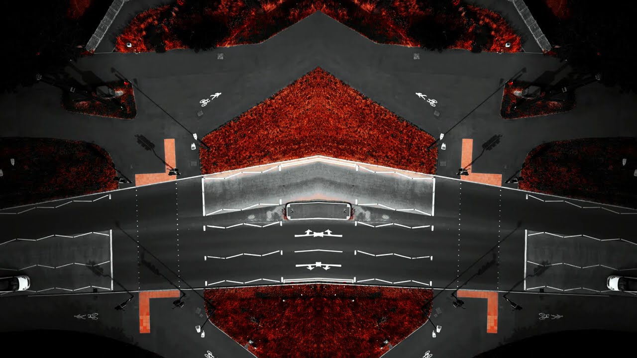 The Black/Red Project 