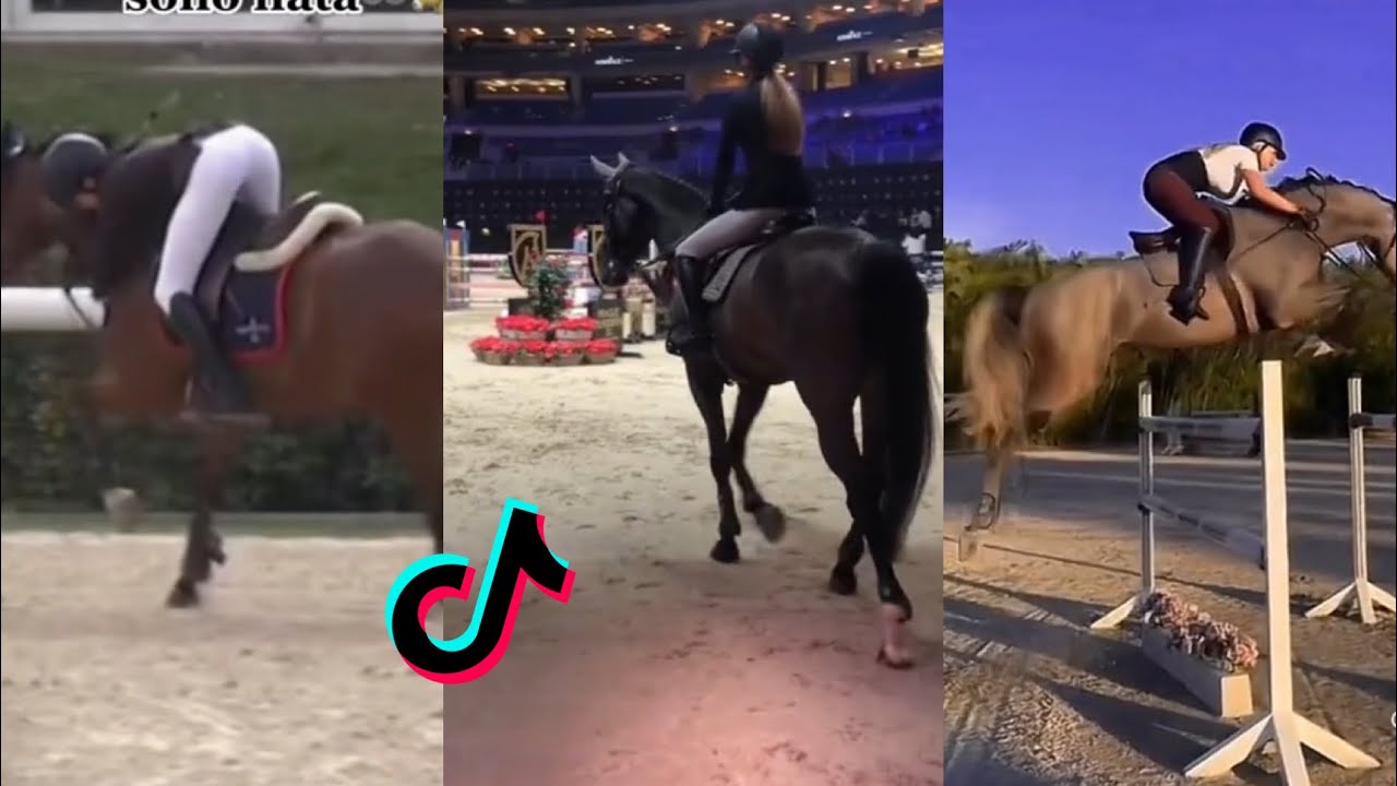 THE BEST HORSE RIDING TIKTOK COMPILATION SHOWJUMPING 2022 #2