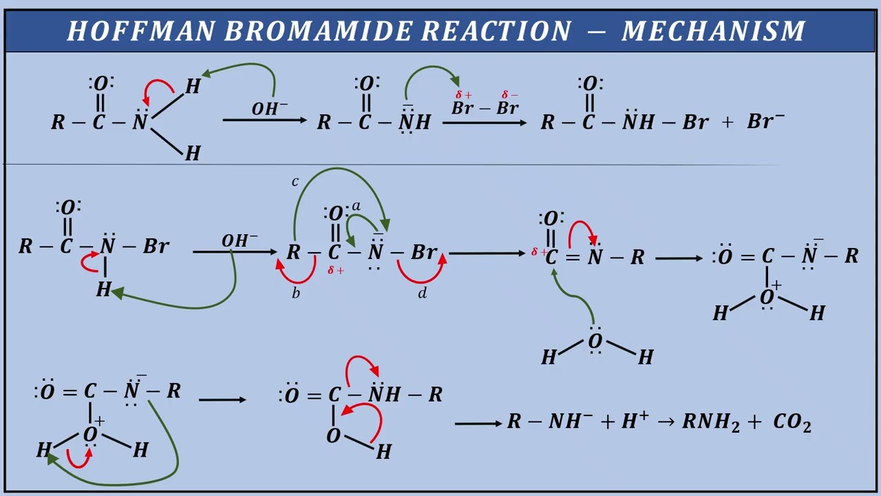REACTION MECHANISM | HOFFMAN BROMAMIDE REACTION