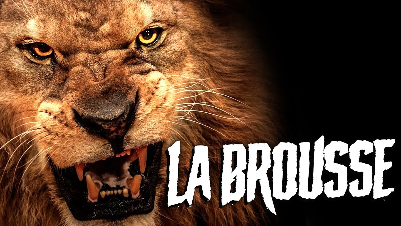 La Brousse - Audiobook - Au Coin du Feu