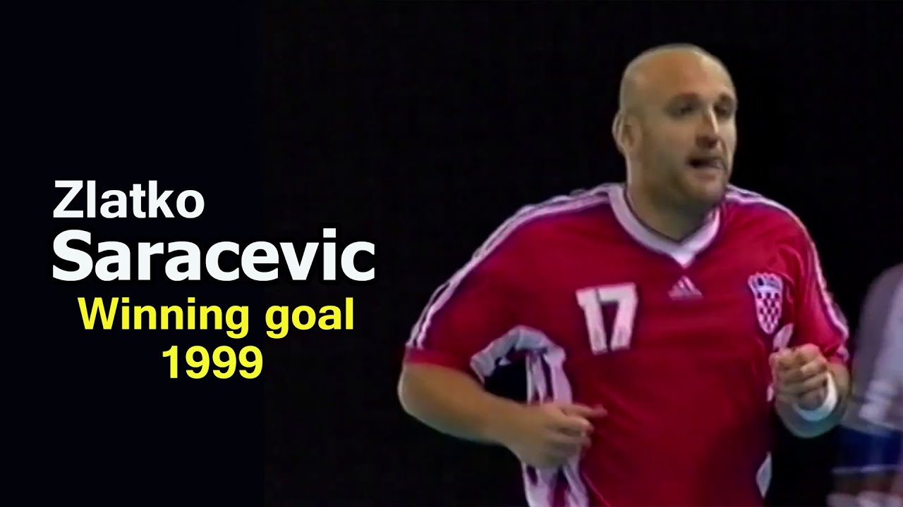 Zlatko Saracevic | Winning goal in the last seconds | Croatia - Egypt