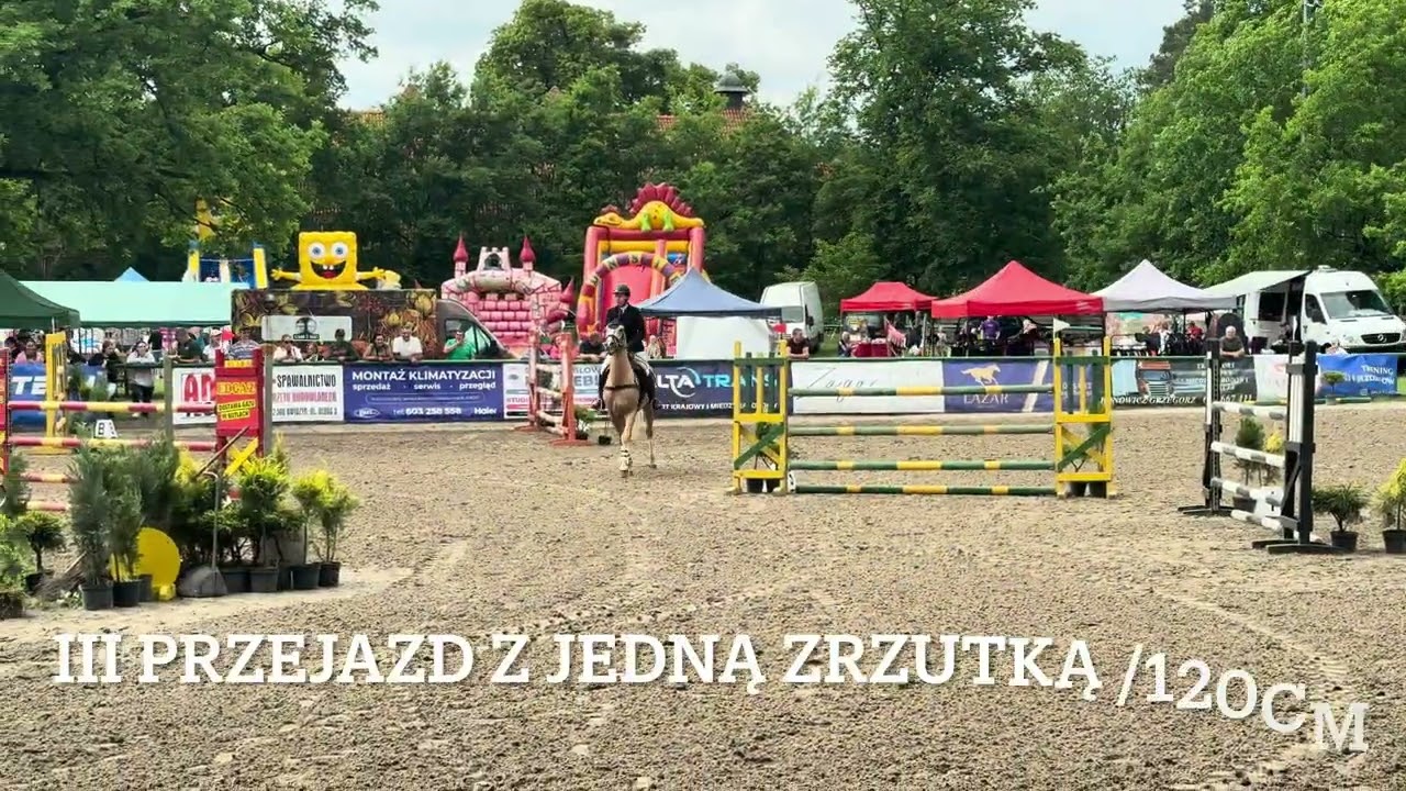 IX Mistrzostwa Polski Północnej Amazonek 2025, Sylwia Babińska, MOON GOLD DU CULOT